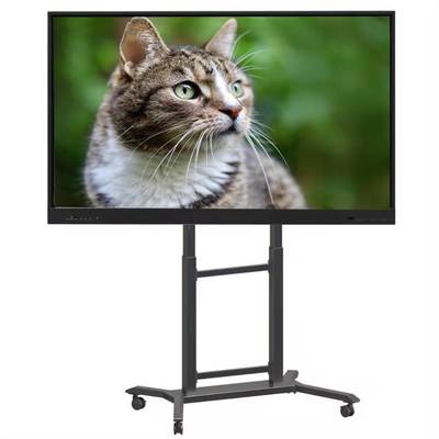 Produttore originale 4K Android DLED Interactive Panel 75 Inch School Touch Screen Smart Whiteboard OEM/ODM Tavole interattive per l'insegnamento scolastico