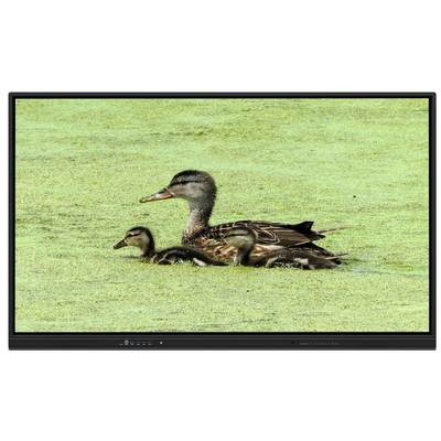 Tavola bianca interattiva 65 pollici All In One con memoria 8+128G e infrarossi per insegnamento e riunioni