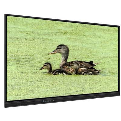 Tavola bianca interattiva 65 pollici All In One con memoria 8+128G e infrarossi per insegnamento e riunioni