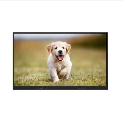 iBoard Interactive whiteboard Android 16 EDLA certificato Interactive Flat Panel