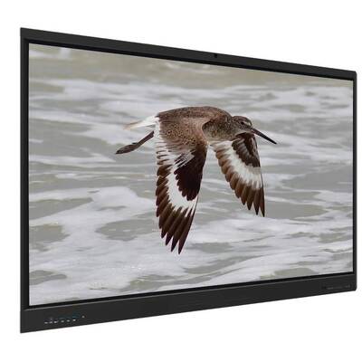 Iboard Interactive Whiteboard Android 15 EDLA con pannello da 65 pollici per l'apprendimento elettronico