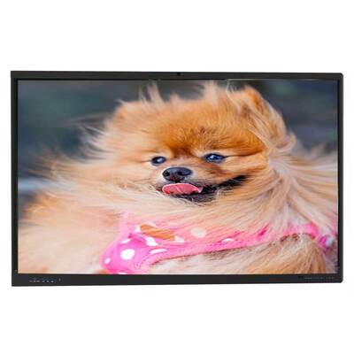 IBoard touchscreen Interactive Flat Panel con Windows OPS Computer Opzionale, profondità di colore 1,07 G (8bits+FRC) e luminosità 350 Cd/m2 per sale riunioni moderne