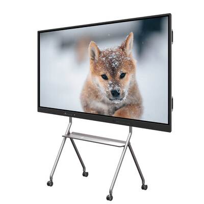 86 pollici Interactive Flat Panel con Android WiFi e software di lavagna integrato per aule e uffici