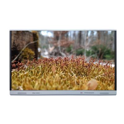 Monitor a 65 pollici di tocco di lavagna interattiva del touch screen