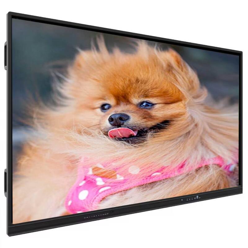 IBoard touchscreen Interactive Flat Panel con Windows OPS Computer Opzionale, profondità di colore 1,07 G (8bits+FRC) e luminosità 350 Cd/m2 per sale riunioni moderne