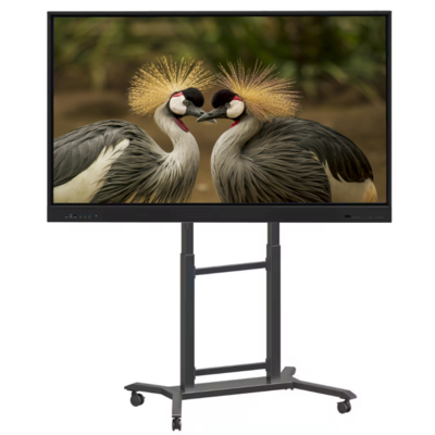 Produttore IBoard 65 Inch Interactive Whiteboard Smart Board Interactive Flat Panel Smart Digital Touch Screen Dual System Per ufficio scolastico