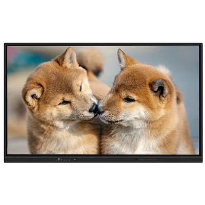 Pannello piatto interattivo a parete Android 14 15 Computer 75 86 pollici Smart Board Wifi Altoparlanti 60W Fotocamera AI Microfono Software Lavagna integrato