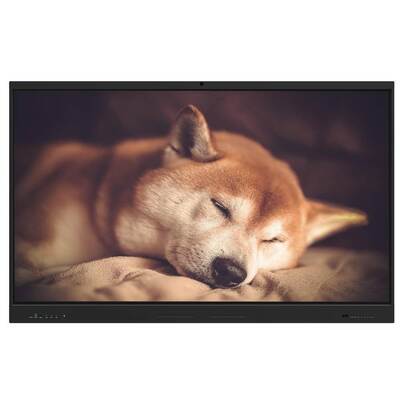 65 pollici Interactive Flat Panel con Android 14 e 8+128G RAM per riunioni scolastiche e di ufficio